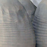 Sample of pottery by Don Brimberry